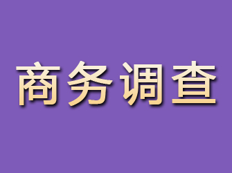 疏勒商务调查